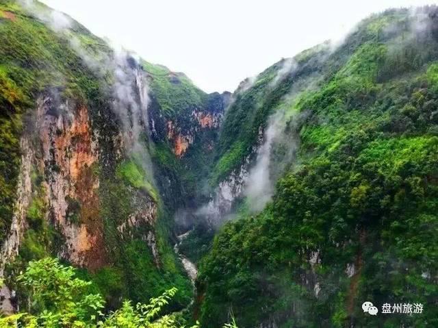 探索天涯,尽在违章查询车辆违章查询官网入口